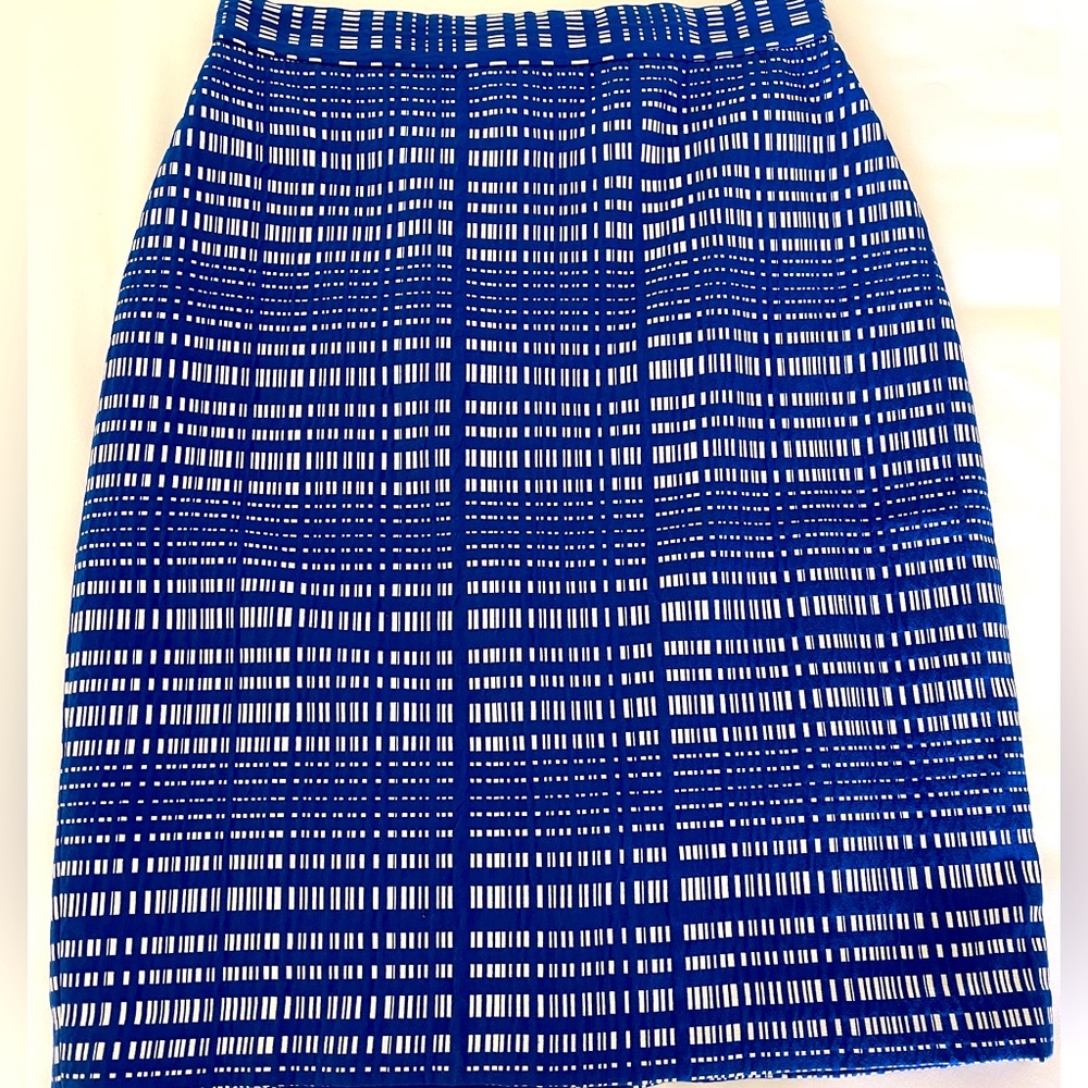 NWT Banana Republic Skirt size 6